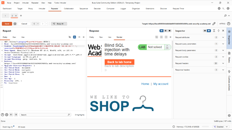 SQL Server Payload