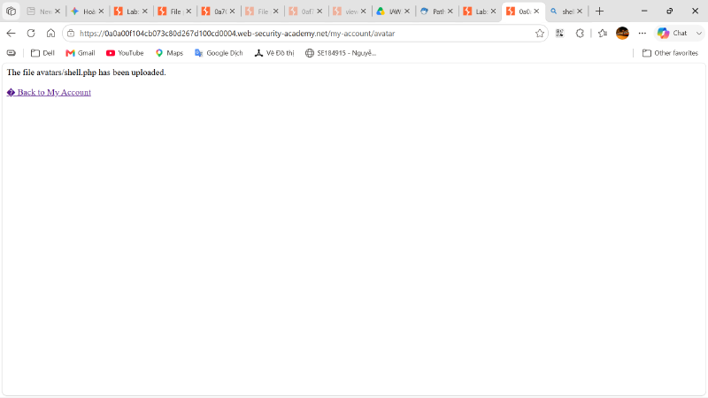 Successfully Uploaded Shell