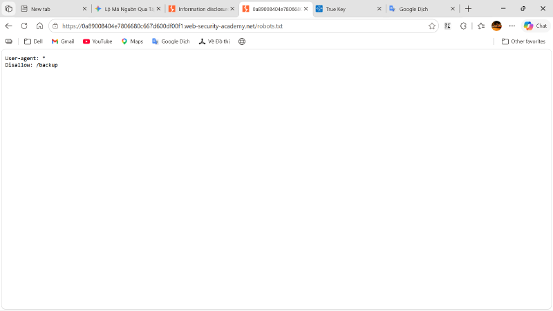 robots.txt Content