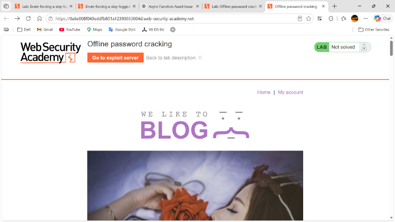 Lab homepage